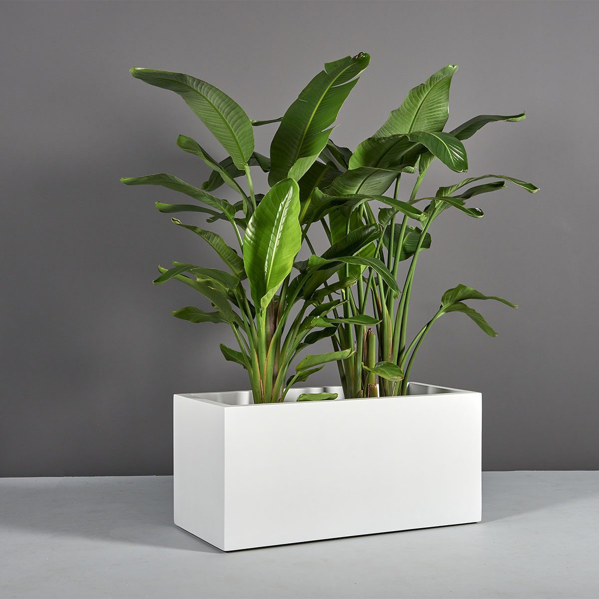 Badalona Rectangular Planter | Clima Home